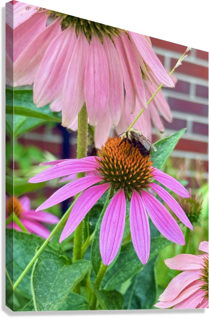 Floral Landing Canvas Print