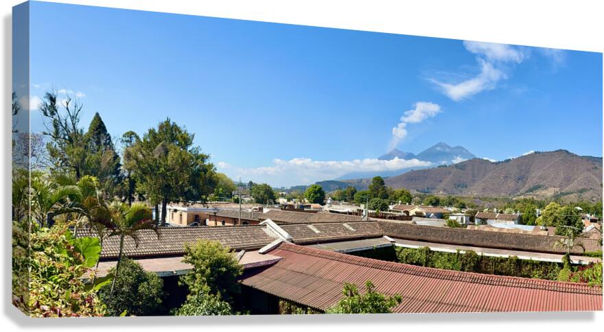 IMG 0093 Canvas Print