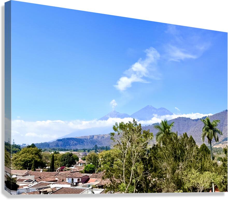 IMG 0160 Canvas Print