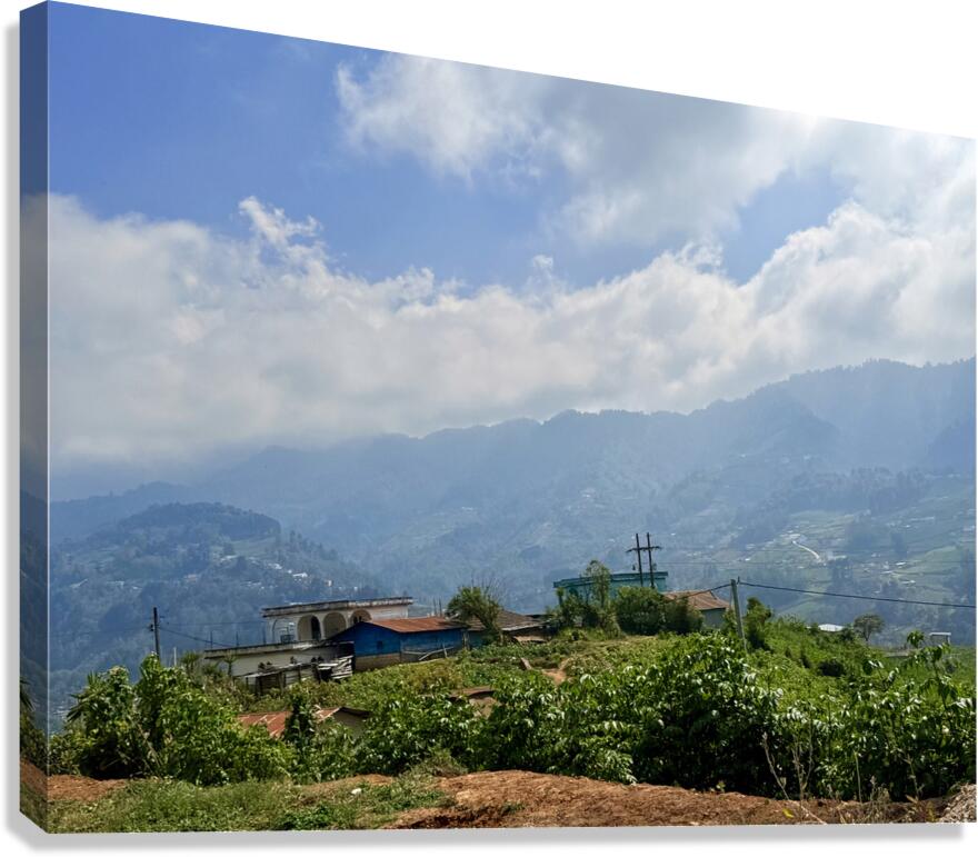 IMG 9268 Canvas Print