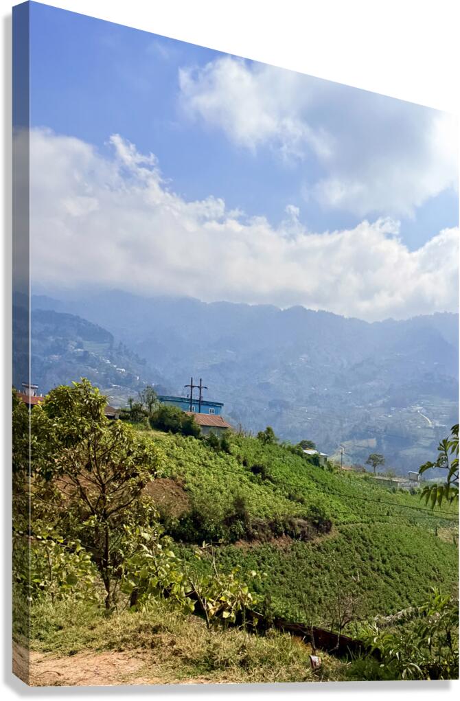 IMG 9267 Canvas Print