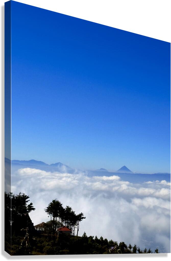 IMG 9130 Canvas Print