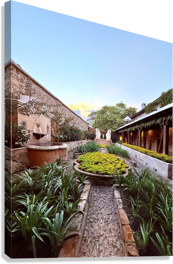 IMG 9974 Canvas Print