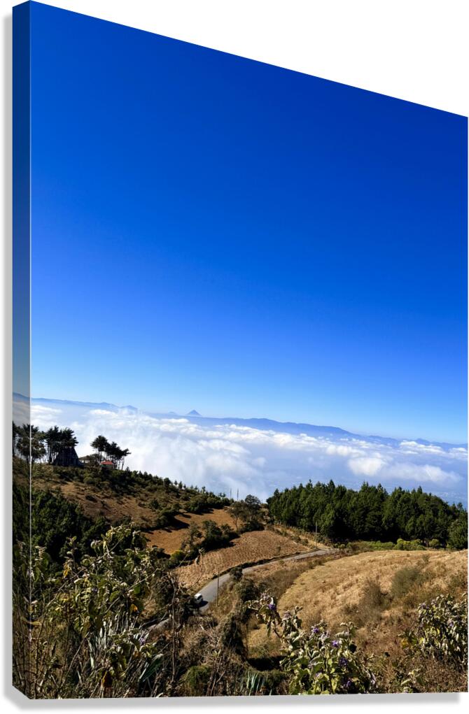 IMG 9128 Canvas Print