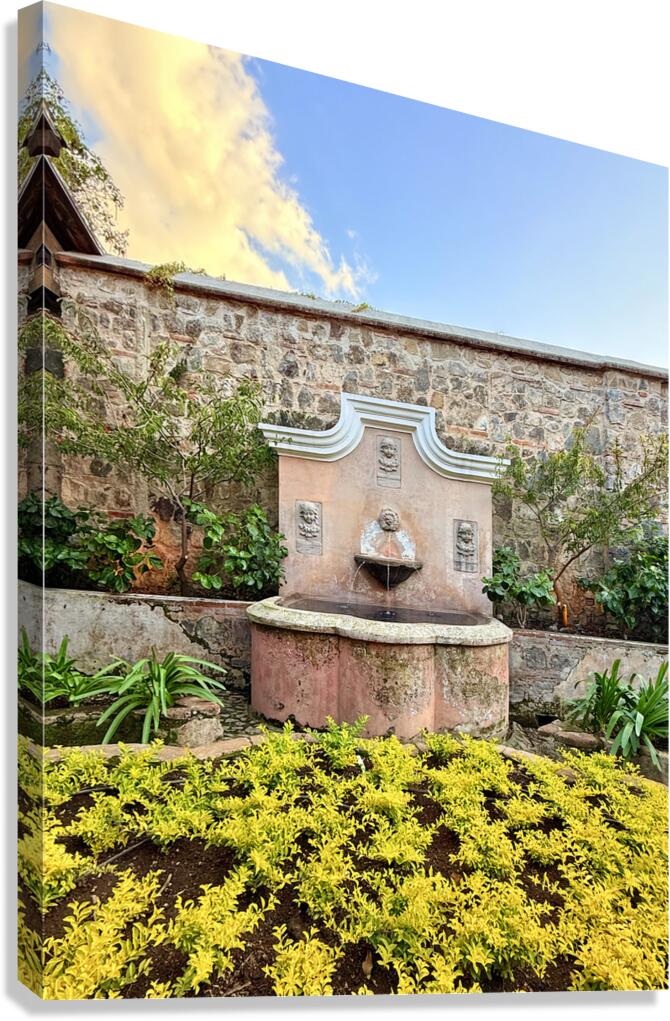 IMG 9960 Canvas Print