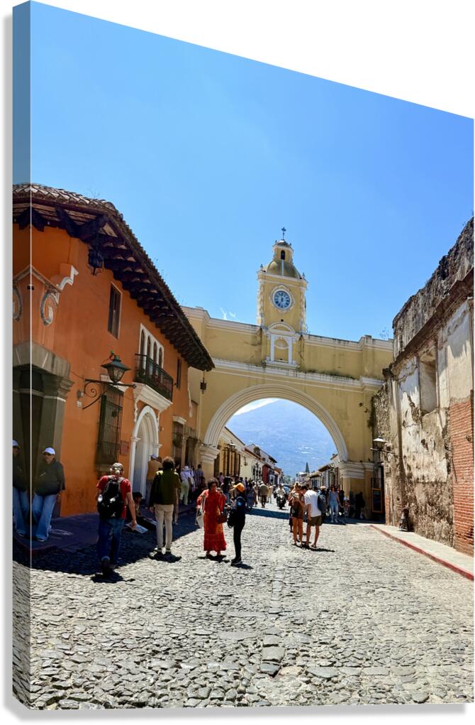 IMG 0219 Canvas Print