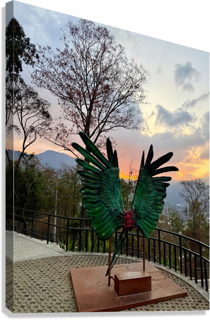 IMG 0496 Canvas Print