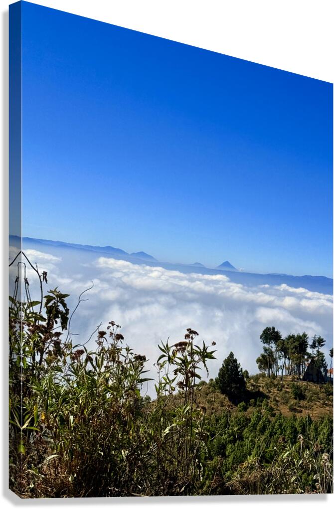 IMG 9140 Canvas Print