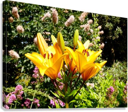 Bursting Beauty 2 Canvas Print