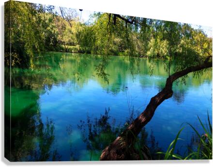 Pond Do 2 Canvas Print