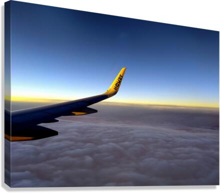 High Howdy Canvas Print