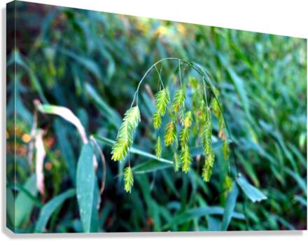Silent Green Wind Chimes Canvas Print