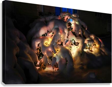 Frozen Christmas 2 Canvas Print