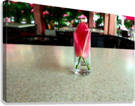 Glass Bloom 3 Canvas Print