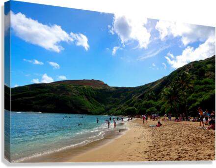 Hello Beaches 2C Canvas Print