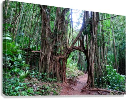 Welcome to the Jungle  Canvas Print