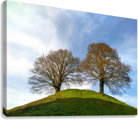 Standing Guard Canvas Print