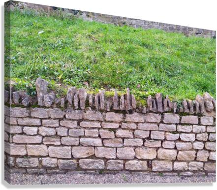 Barbed Stone Wall Canvas Print