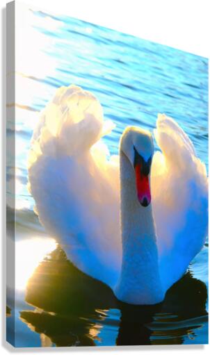 Wings of Love Canvas Print