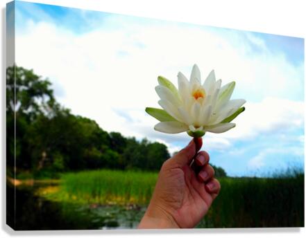  Offering of the Wild Canvas Print