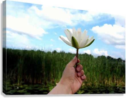Gift to the Sky Canvas Print