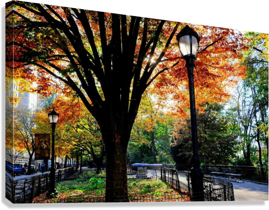 Autumn Radiance Canvas Print