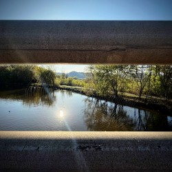 Spider Web on Bridge at Sunrise – Nature Framed in Stillness 2