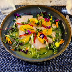Tidal Hamachi Crudo Ceviche 