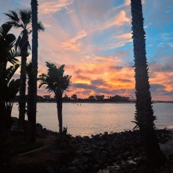 San Diego Sunset: Silent Waters Painted Skies Standing Tall