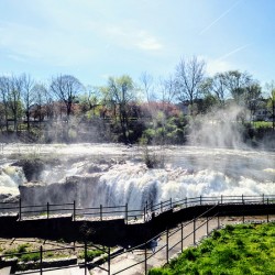 The Curve that Listens to the Falls