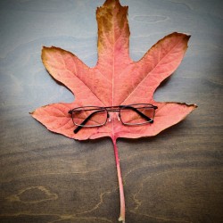 Losing Sight of Fall