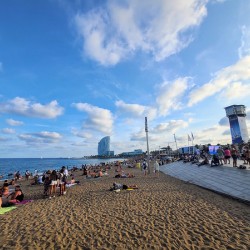 The Soft Chaos of Summer