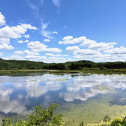 Whispers on the Water: A Mirror of the Skies