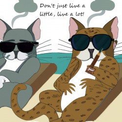 BadCatz Beach Bums 1C