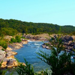 Great Falls Park 2