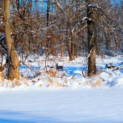 Hiding in Plain Sight