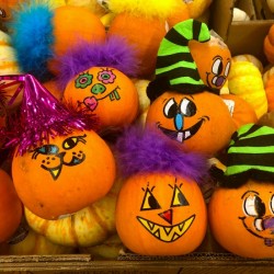 Halloween Pumpkin Faces