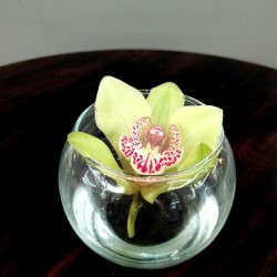 Glass Bloom