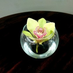 Glass Bloom 2