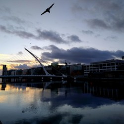 Soaring into the Sunrise