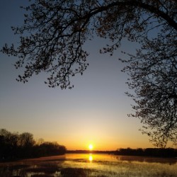 Golden Michigan Sunrise