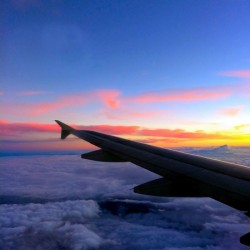 Flying into the Sunset 5