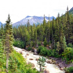 Majestic Mountains of Alaska 3C