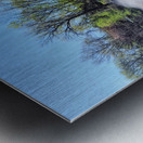 Where the Earth Breathes in Light and Water Metal print