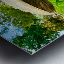 The Watcher in the Grass Metal print