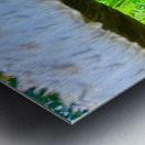 Under the Cap: A Fungal World Revealed Metal print