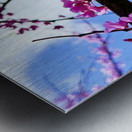 IMG 1703 Metal print