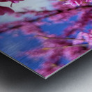 IMG 1577 Metal print