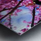 IMG 1659 Metal print