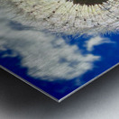 IMG 1743 Metal print